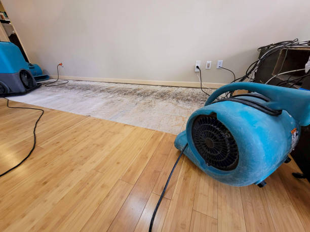 Professional Water Removal technician working in Lansing, IL